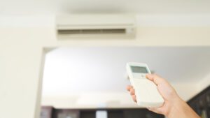 Entre otras se aconseja evitar salir en horas de calor extremas, desde el mediodía hasta el atardecer