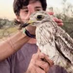 En estas jornadas llevadas a cabo por ANEA, Asociación Ecologista de Los Palacios y Villafranca, se han anillado un total de 223 aves
