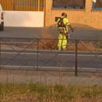 Los trabajos, que han sido recientemente adjudicados, se centrarán en mantener en buen estado 25 carreteras situadas en la zona de Utrera