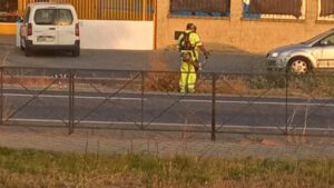 Los trabajos, que han sido recientemente adjudicados, se centrarán en mantener en buen estado 25 carreteras situadas en la zona de Utrera