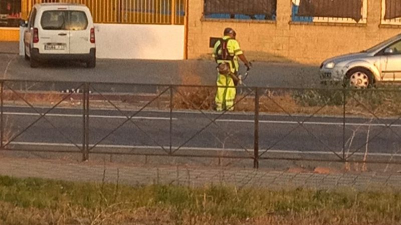 Los trabajos, que han sido recientemente adjudicados, se centrarán en mantener en buen estado 25 carreteras situadas en la zona de Utrera
