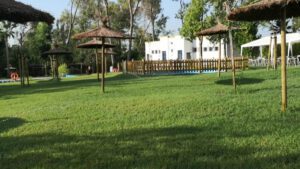 Aunque estas permanecerán abiertas hasta el domingo, 1 de septiembre, los más pequeños podrán disfrutar de estas fiestas el jueves, en Guadalema de los Quintero, y el viernes en las de Pinzón y Trajano