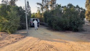 El 12 de agosto, la Delegación Territorial de Salud y Consumo comunicaba al Ayuntamiento utrerano la confirmación de un caso de Fiebre del Nilo Occidental en una persona que estuvo residiendo en una finca privada de la zona rural de Utrera