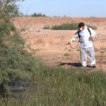 En la localidad trabaja un equipo formado por un biólogo y un aplicador profesional, más un drom que se encarga de la zona de arrozales.