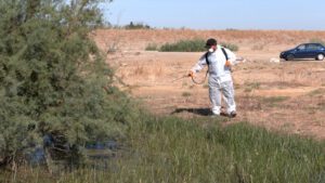 En la localidad trabaja un equipo formado por un biólogo y un aplicador profesional, más un drom que se encarga de la zona de arrozales.