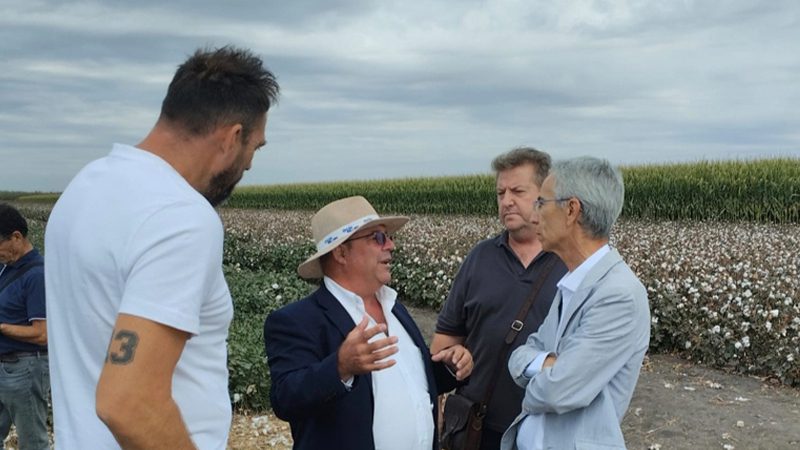 Trajano ha acogido la XI edición de Expoalgodón