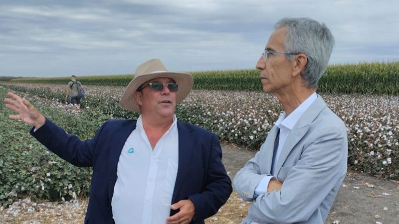 Trajano ha acogido la XI edición de Expoalgodón