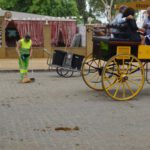 En cuanto a los horarios para la recogida de basuras en el recinto ferial de Consolación se hará dos veces
