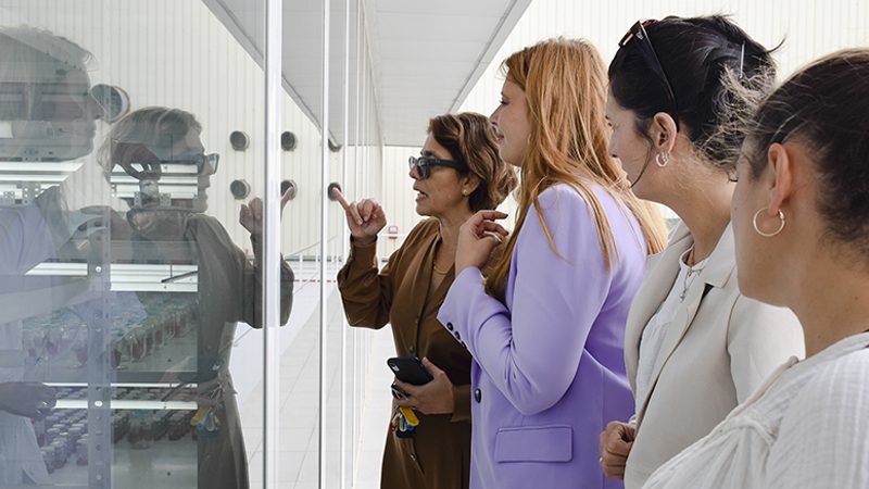 Los Palacios y Villafranca conmemora el Día Internacional de la Mujer Rural