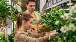 La Junta amplía el plazo para ayudas en jóvenes agricultores