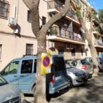 Red Utrera por el Clima denuncia la tala indiscriminada de árboles en Utrera y exigen un plan de arbolado
