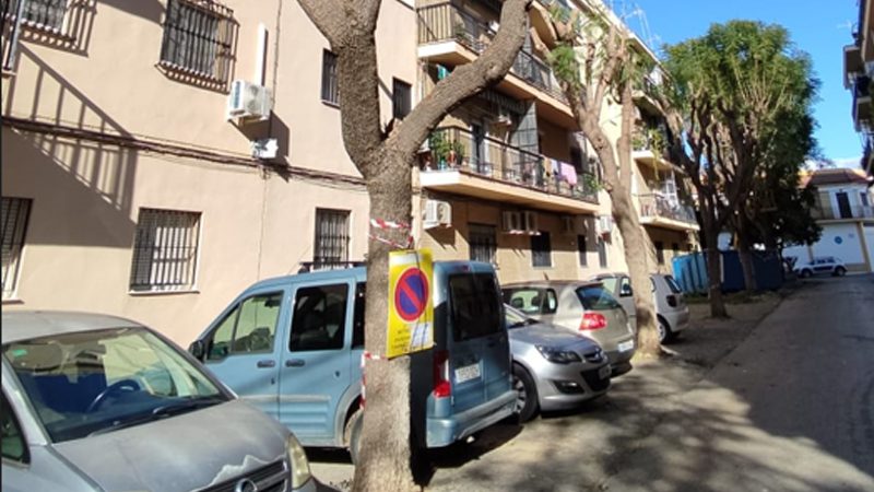Red Utrera por el Clima denuncia la tala indiscriminada de árboles en Utrera y exigen un plan de arbolado