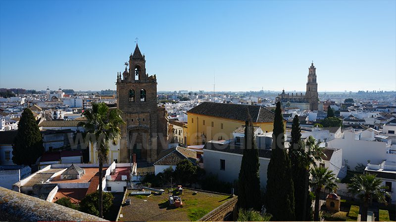 Natalidad de Utrera