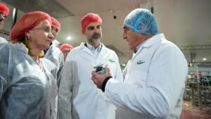 Andalucía alcanza un récord histórico en exportación de aceituna de mesa con 702,7 millones de euros