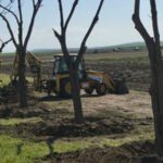 Reubican 6 robinias del campo de fútbol de Campoverde en el Corredor Verde de Vistalegre