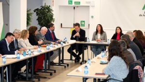 La Junta se suma al Observatorio del Servicio Andaluz de Ayuda a Domicilio