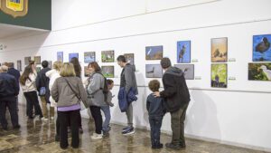 Los Palacios y Villafranca celebra el Día de los Humedales con fotografía, naturaleza y música