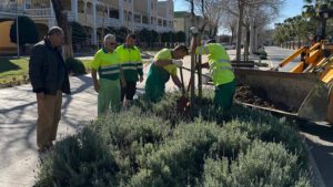 El ayuntamiento de Utrera plantará más de 200 árboles y 1.000 plantas en diferentes zonas de la localidad