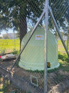 Sanidad instala un recinto para evitar el ataque a los gatos de las colonias felinas