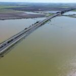 Unas 10.000 hectáreas siguen inundadas en el Bajo Guadalquivir