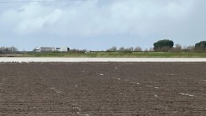 El desbordamiento del arroyo de Las Pájaras inunda cientos de hectáreas de cultivos de Trajano