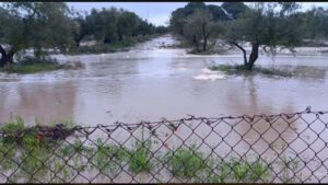 Las lluvias en Utrera de 52 l/m² causan cortes viales y 12 evacuados de sus vehículos