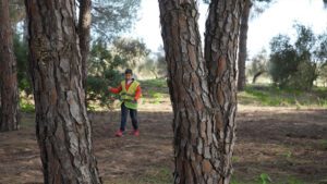 Un paso más en el proyecto medioambiental del Pinar de Doña de la Fundación Centro Girasol