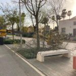 Corte árboles utrera