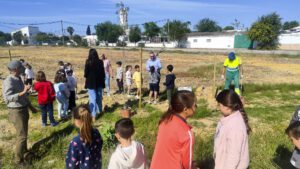 Avanza el plan de reforestación urbana en El Trobal con la plantación de cien árboles