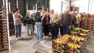 El bombón "colorao" de Los Palacios y Villafranca
