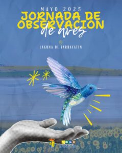 El Palmar de Troya impulsa el turismo ornitológico con motivo del Día de la Biodiversidad