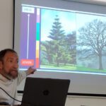 El árbol, clave olvidada en la lucha contra el cambio climático urbano