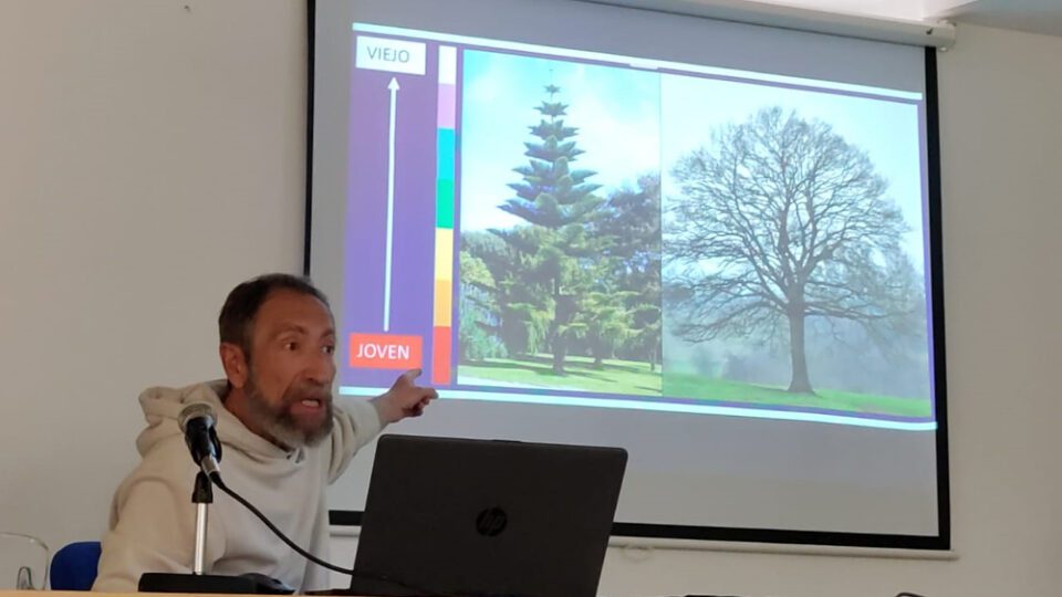 El árbol, clave olvidada en la lucha contra el cambio climático urbano