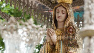 La Romería de Fátima 2025: Una Jornada de Fe, Alegría y Tradición en Utrera