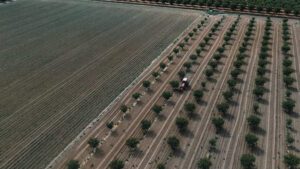 El Ministerio impulsa con 69 millones la modernización de regadíos en el Bajo Guadalquivir y Marismas