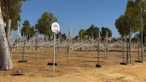 Progresan satisfactoriamente los preparativos para la Feria de Utrera 2025
