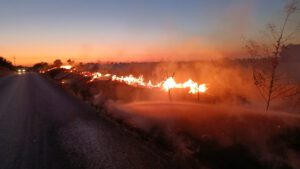 Los bomberos actúan en una oleada de incendios provocados en el camino asfaltado entre Utrera y Los Molares