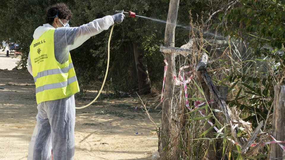 Utrera intensifica el tratamiento contra el mosquito del Nilo con nuevas intervenciones