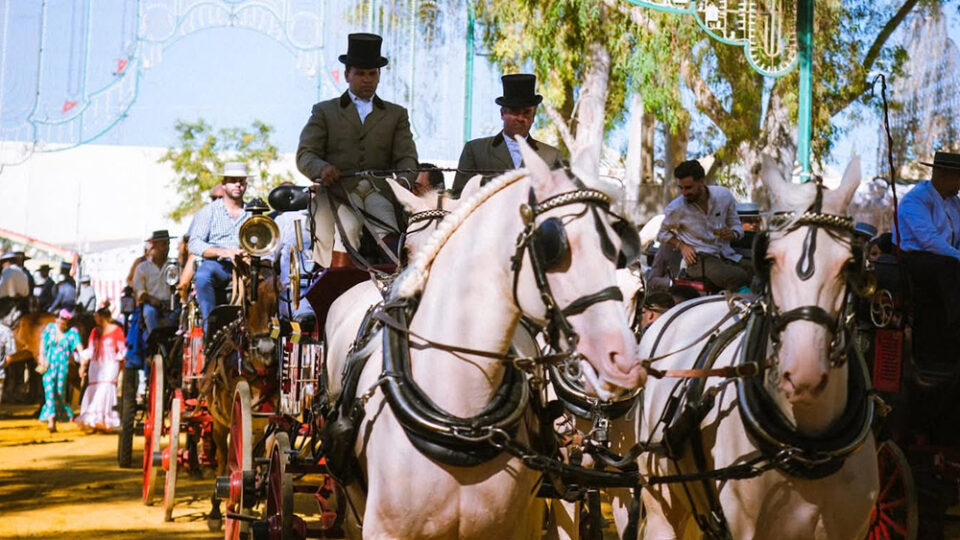 Los caballos que realizarán el Paseo de Feria ven reforzados sus controles de bienestar animal