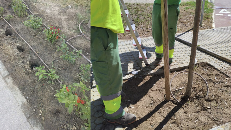 Mejoras de alcantarillado, saneamiento y plantaciones entre las medidas del Ayuntamiento para embellecer la Feria