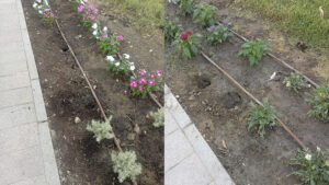 Mejoras de alcantarillado, saneamiento y plantaciones entre las medidas del Ayuntamiento para embellecer la Feria
