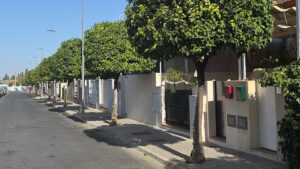 La delegación de Parques y Jardines intensifica los trabajos en varias barriadas de Utrera
