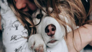 DDEVIDA presenta el programa “CONTIGO” para facilitar asistencia veterinaria en familias en situación de vulnerabilidad