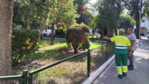 La delegación de Parques y Jardines realiza miles de plantaciones y prepara el nuevo contrato de mantenimiento