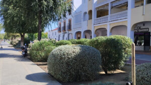 El Ayuntamiento realiza tareas de mejora en zonas verdes de barriadas utreranas