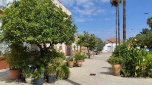 El Ayuntamiento realiza tareas de mejora en zonas verdes de barriadas utreranas