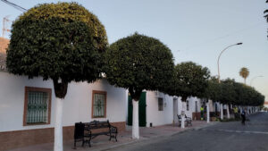 El Ayuntamiento realiza tareas de mejora en zonas verdes de barriadas utreranas