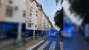 Un incendio en la avenida Arroyo Calzas Anchas se salda sin heridos gracias a los bomberos