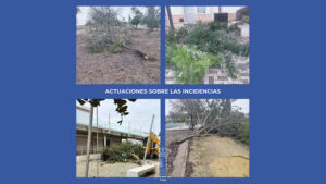 Los servicios de emergencia actúan en El Palmar de Troya ante diversas incidencias provocadas por el temporal