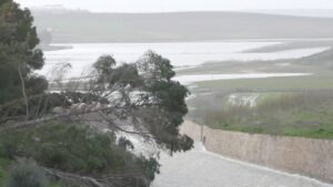 ADELQUIVIR alerta de graves daños en el sector agrario tras las últimas borrascas